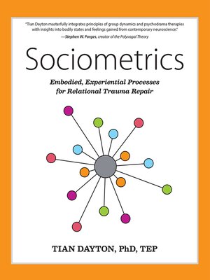 cover image of Sociometrics